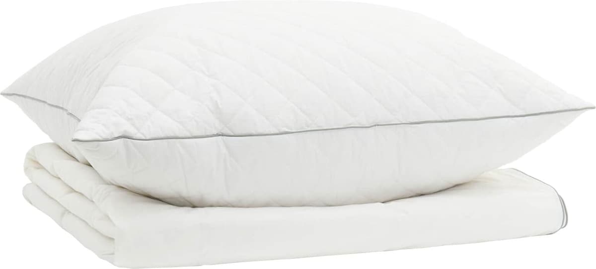 vidaXL Ensemble de couette 90 % en duvet d’oie FULDA 2 pc 150 x 200 cm