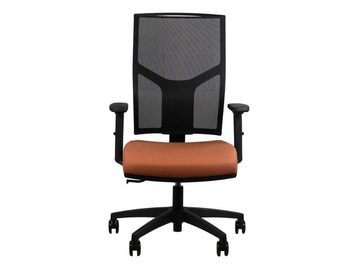 Fauteuil de Bureau Ergonomique MEDIA synchrone autorégulé terra