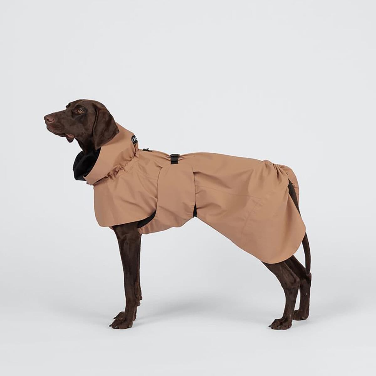 Paikka Visibility Regnjacka Till Hund Brun 25