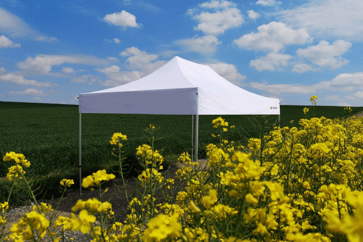 BRIMO Hochzeitszelt 3×6 m aus Aluminium – elegant und schnell aufbaubar - mit 3 Wänden - Grün 70% polyester, 30% PVC