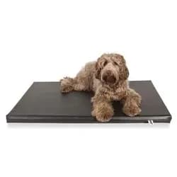 Bia Matras Ligbed Zwart (Hund), Hundebett + Katzenbett
