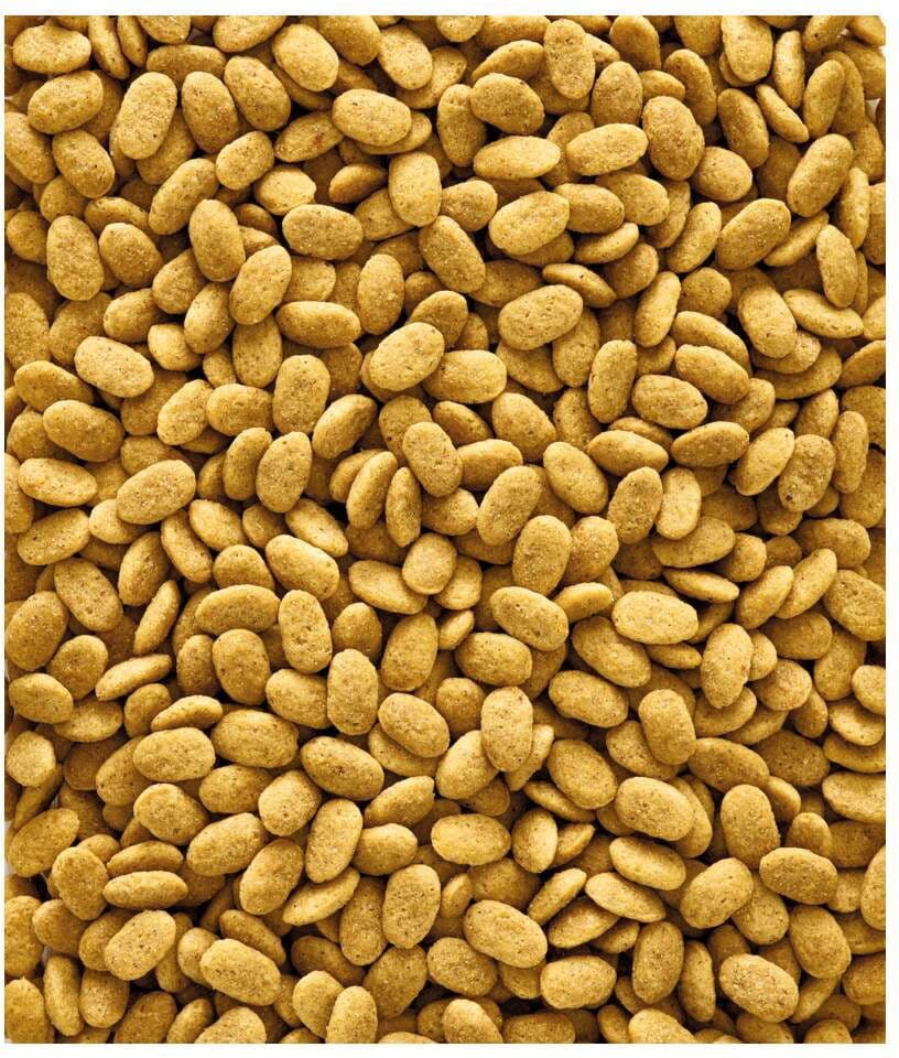 Versele-Laga Vl Nutribird P15 Original 1 Kg