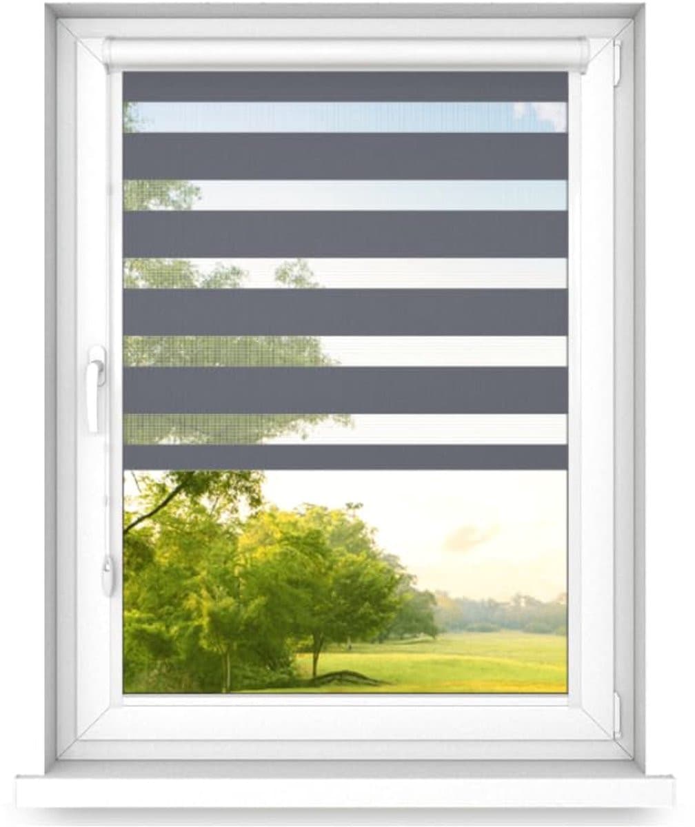 time4blinds Dubbele Zebra-Rolgordijnen voor Ramen en Deuren zonder Boren, met Aluminium Cassette, Staal, B/D/H: 100 x 170 cm, Rechts