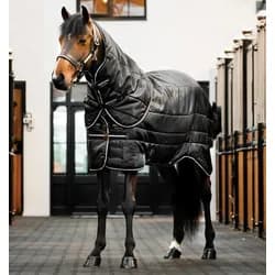 Stalldecke HW Easy-Layer Stable 200g 200g