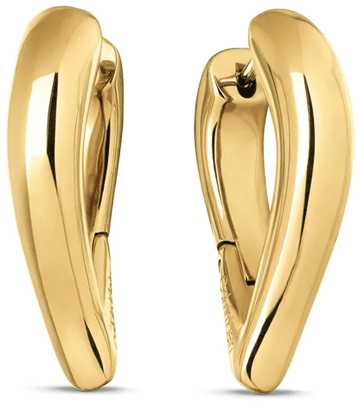 Calvin Ss/gp Earrings - 2 Farger, Gull