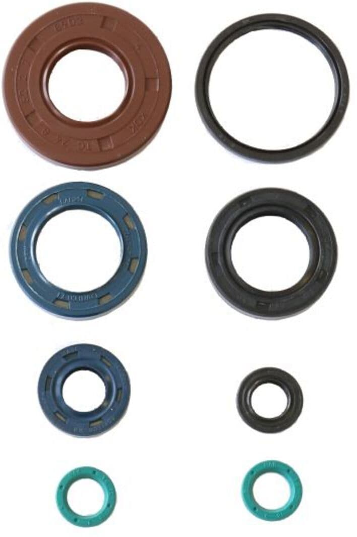 Conjunto de vedantes do óleo do motor ATHENA P400210400217