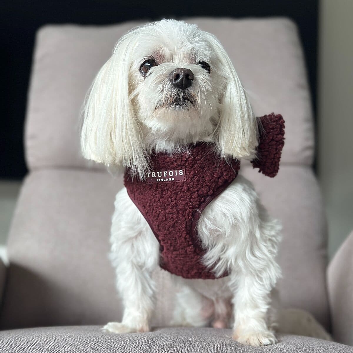Trufois Lite Teddy Hundsele Vinröd M