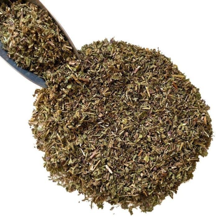 France Herboristerie Tisane Marrube Noir (Ballote Fétide) plante Ballota nigra