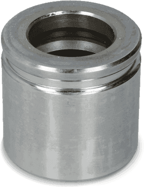 AUTOFREN SEINSA D025573 Brake caliper piston