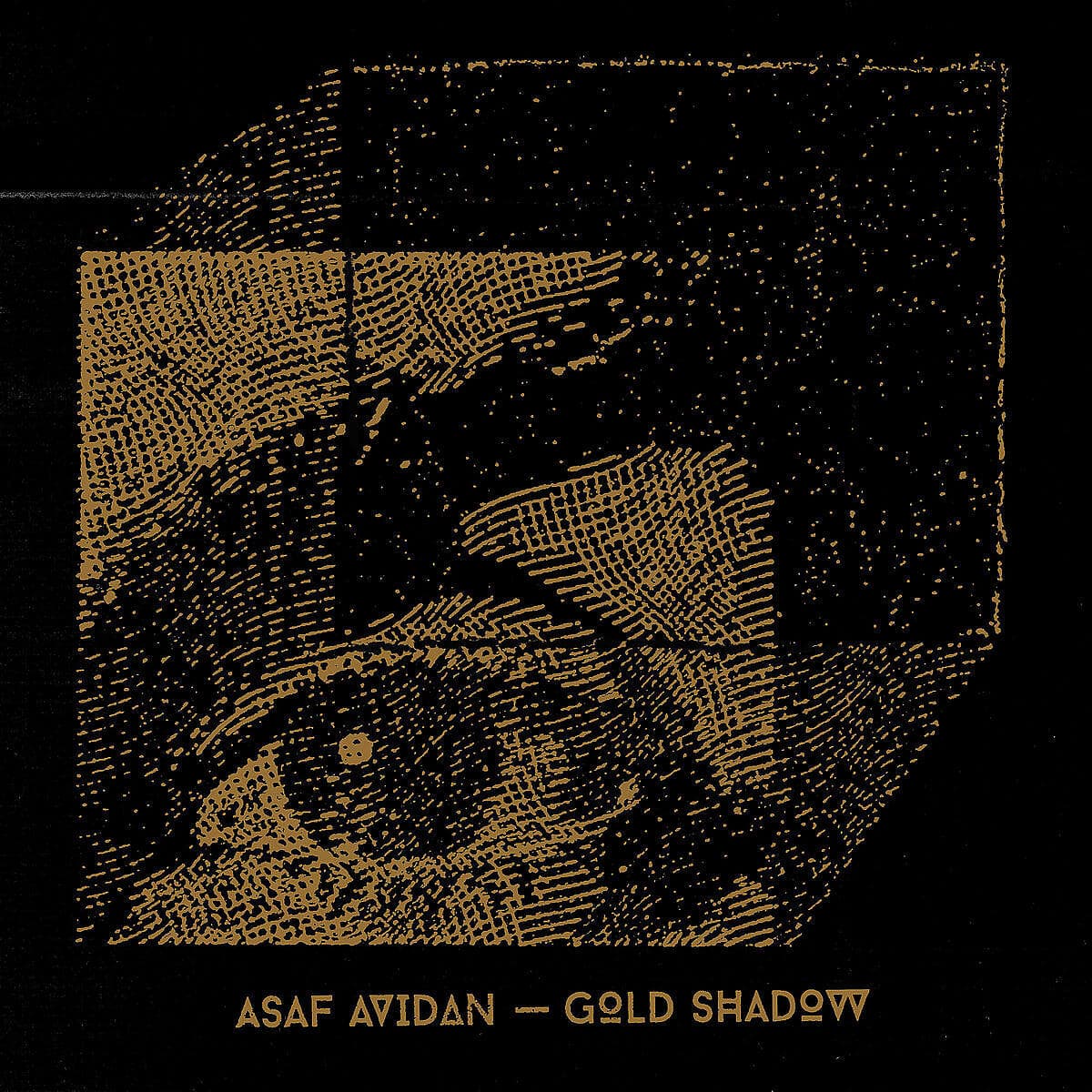 Musik-CD GOLD SHADOW (JEWEL BOX) / Avidan,Asaf, (1 CD Album)