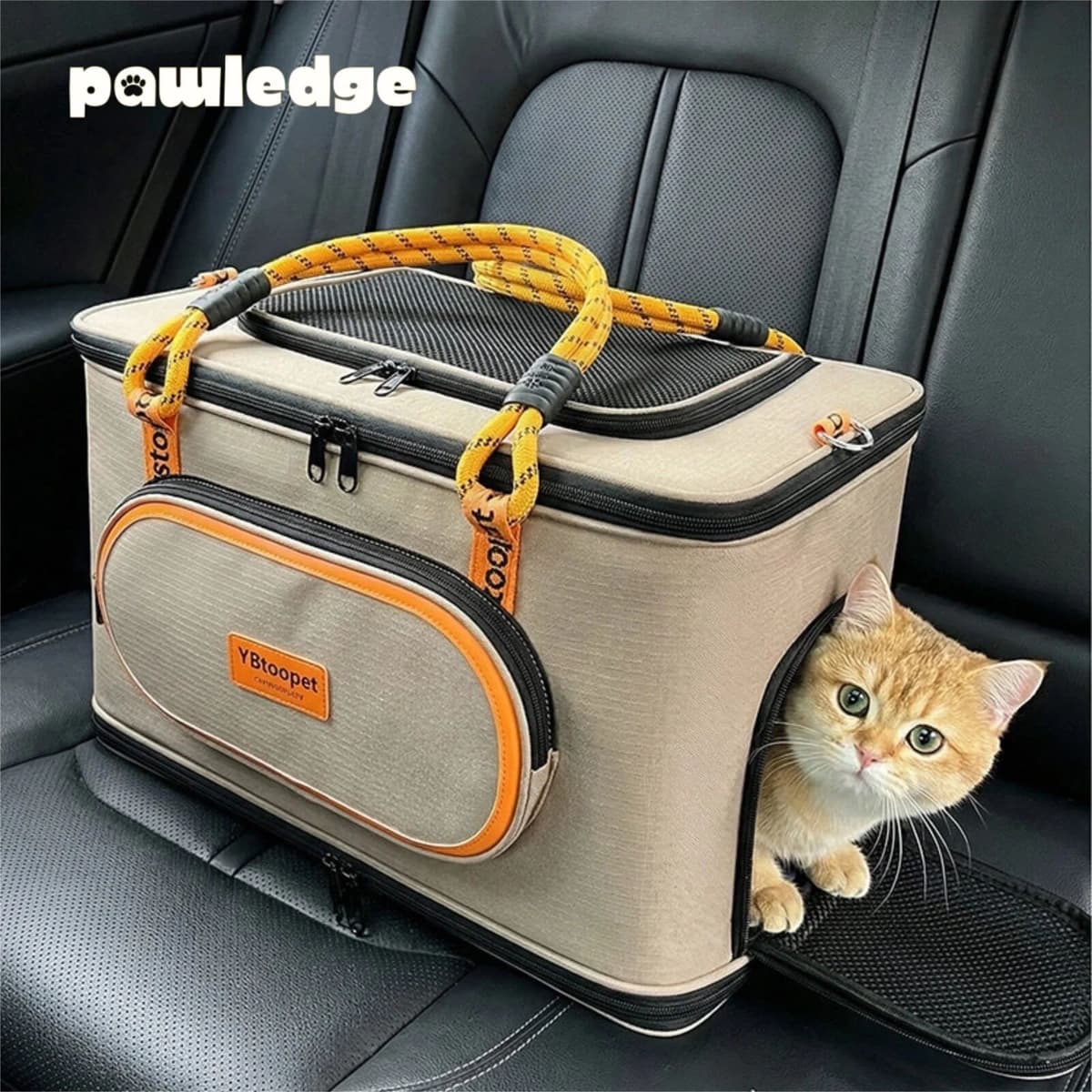 NONE Outdoor Pet Carrier Bag, Water-Resistant Breathable Large Capacity Handbag, Convertible Leash Tote for Cats and Small Dogs