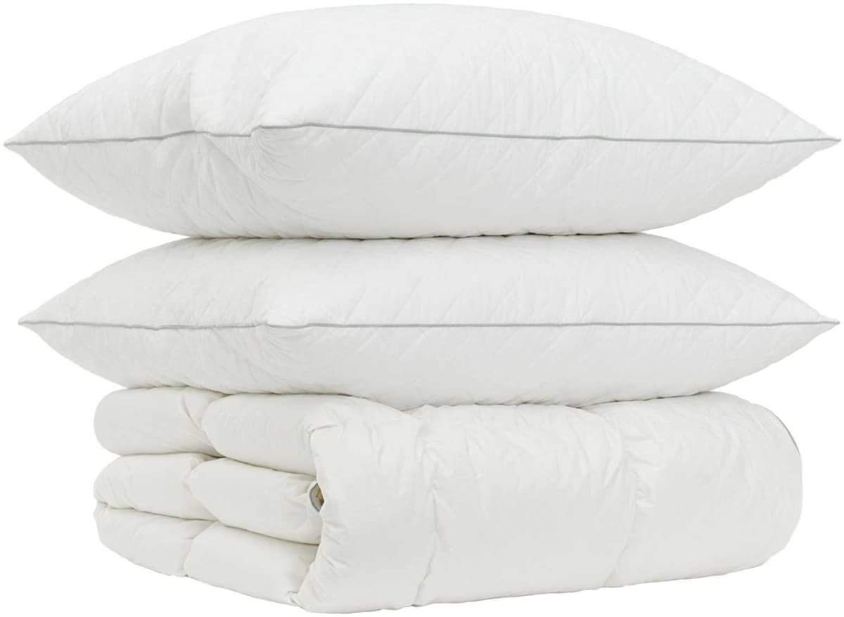 vidaXL Ensemble de couette 90 % en duvet d’oie FULDA 3 pc 200 x 220 cm