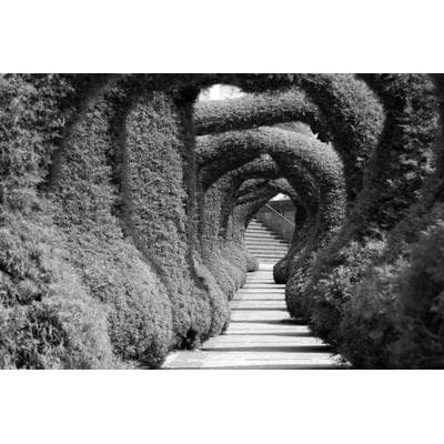 Fototapete PAPERMOON "Treppe Schwarz & Weiß", schwarz (schwarz, weiß), B:4,5m L:2,8m, Vlies, Tapeten