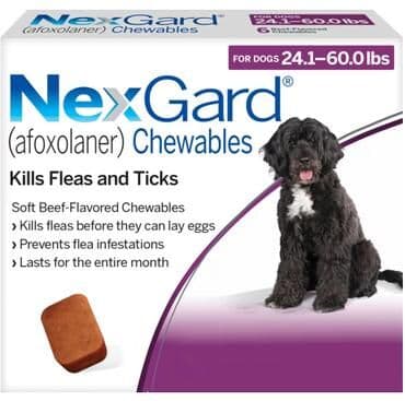 Nexgard For Large Dogs 24.1-60 Lbs (Purple) 68mg 6 Chews