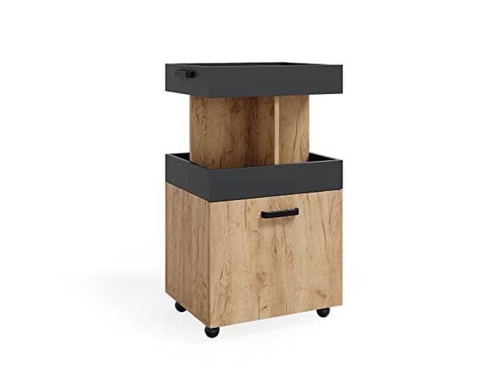Vicco Hausbar Minibar Getränkebar Kamber Tür rollbar Ablage Fach Regal