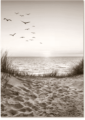 Inspire Curations Nordic Beach Dandelion Canvas Wall Art Minimalist Coastal Home Decor 7 40x50cm