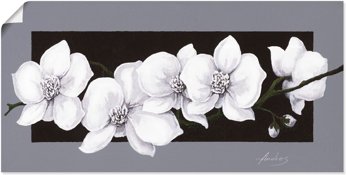 Wandbild ARTLAND "Weiße Orchideen auf grau", schwarz (farbe bild(er): schwarz), B:100cm H:50cm, Bilder, als Alubild, Leinwandbild, Poster in verschied. Größen