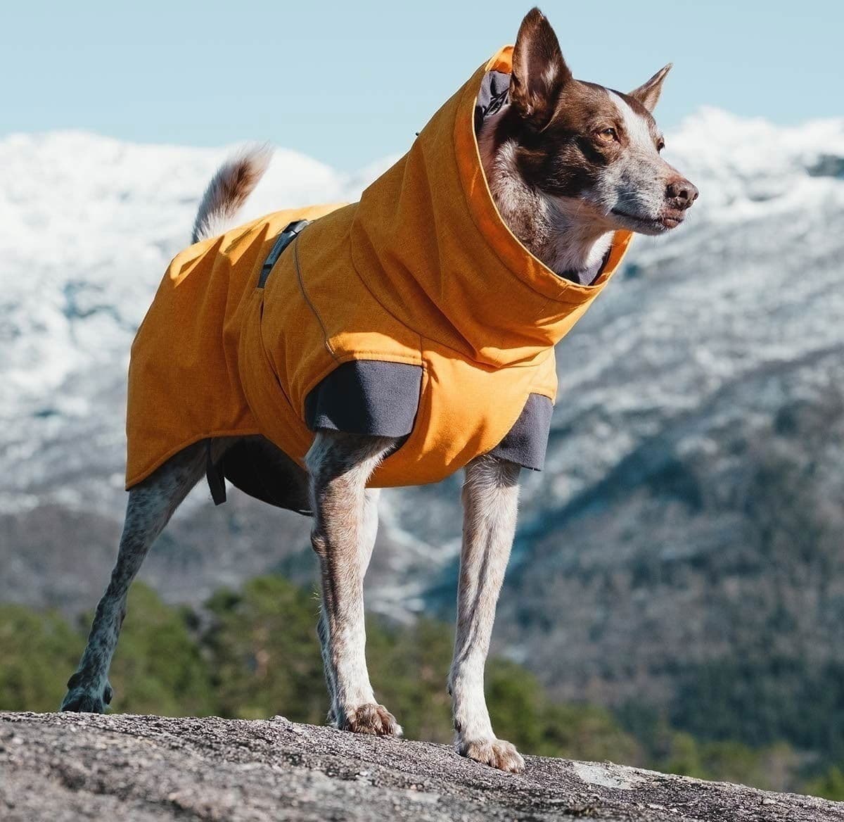 Hurtta Expedition Parka Vinterdekken Orange