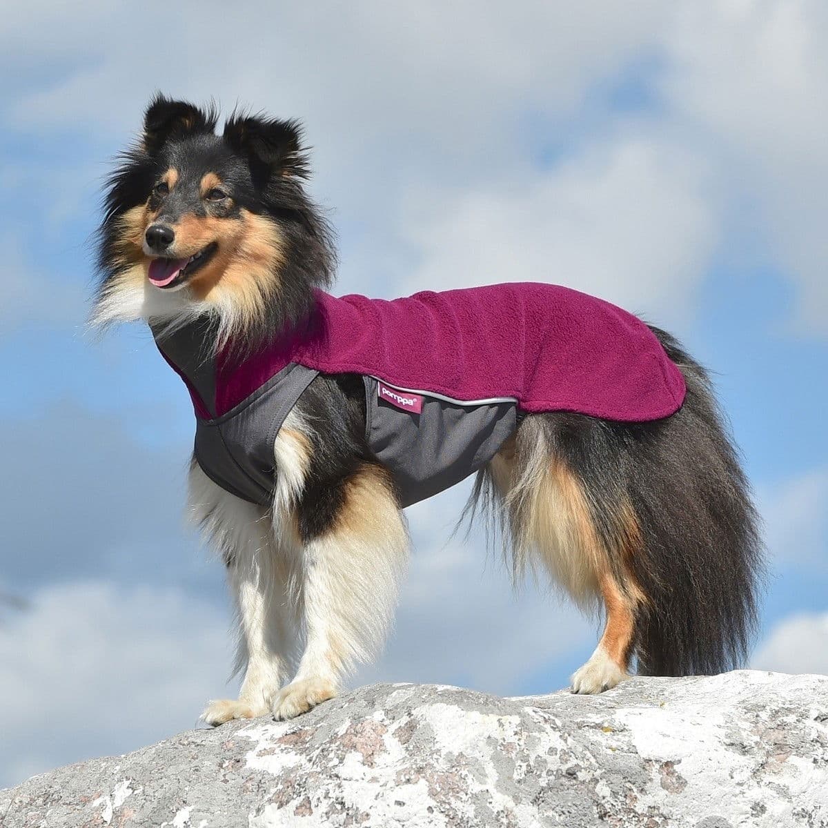 Pomppa Jumppa Fleecetrøye Hund Plum