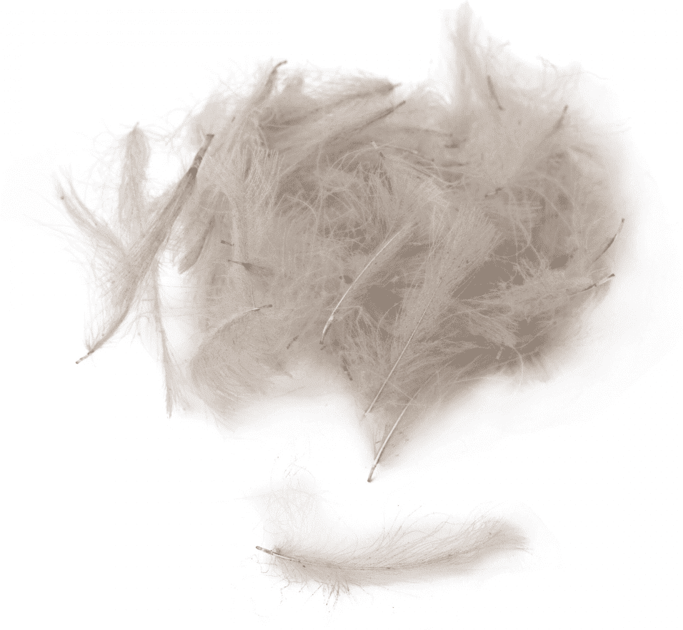 Fly-Dressing Premium CDC (Färg: Smoke Dun)