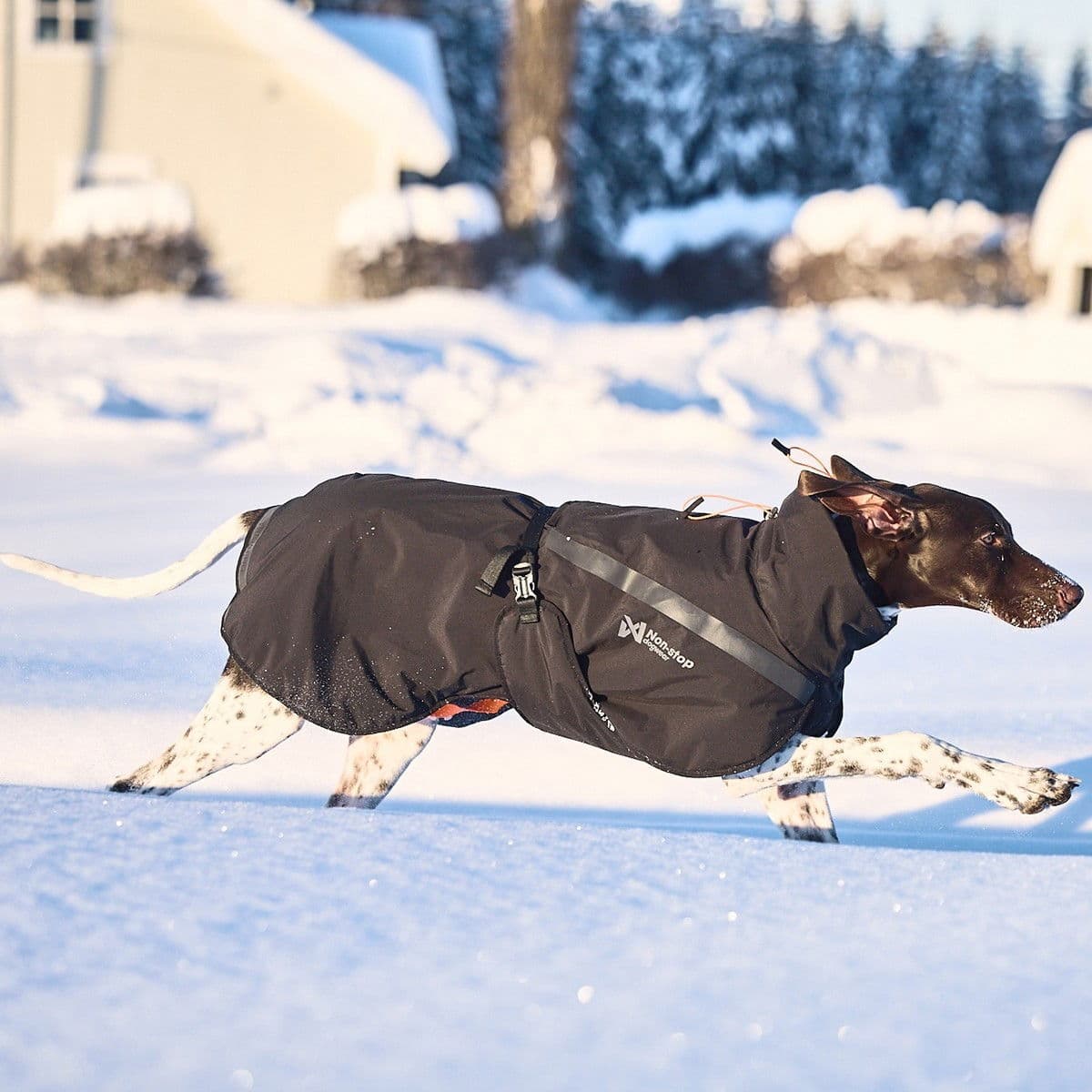 Non-Stop Dogwear Trekking Hundtäcke Svart 30