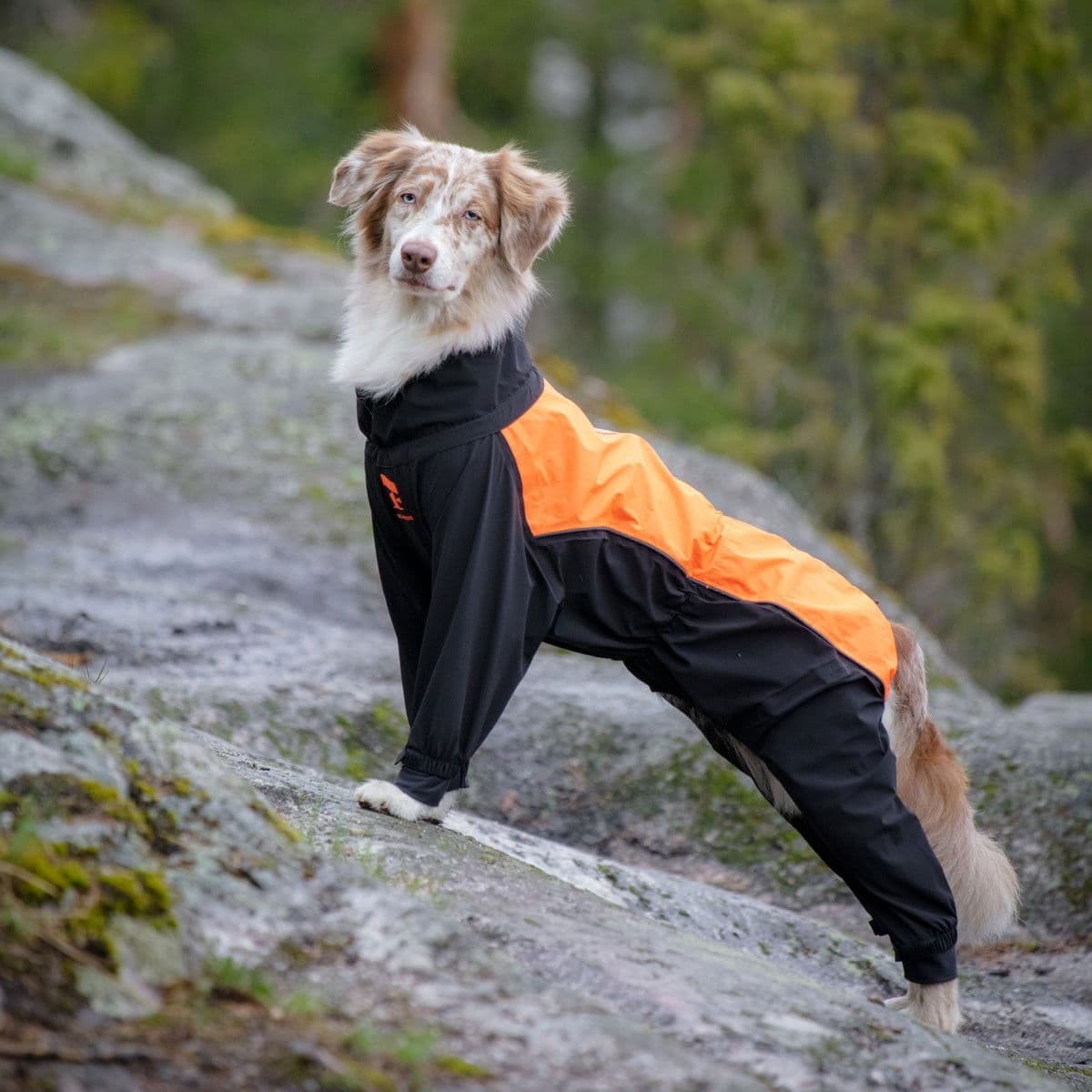 Feel Active Helsingborg Hundoverall Refleks Svart & Orange