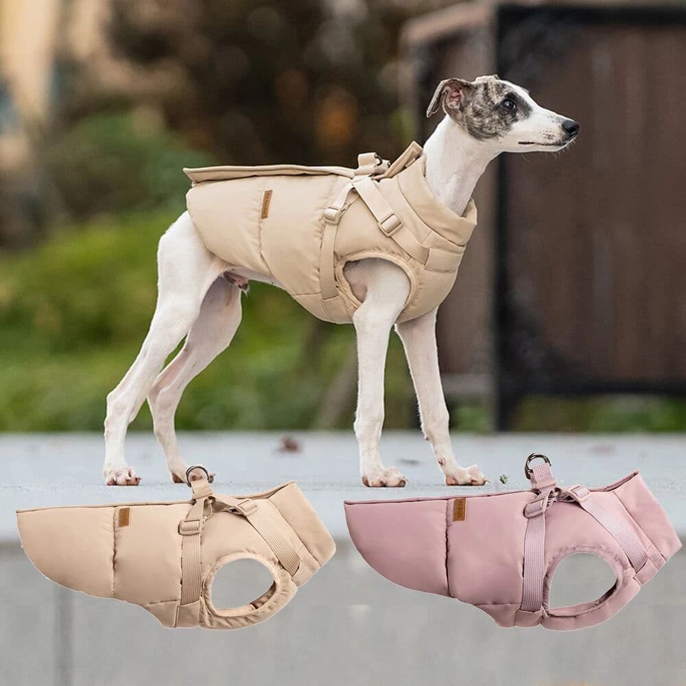 XLeiPet Autumn Winter Pet Clothes Outdoor Dog Jacket with Harness for Small Medium Dogs Thick Warm Pet Cotton-Padded Clothing
