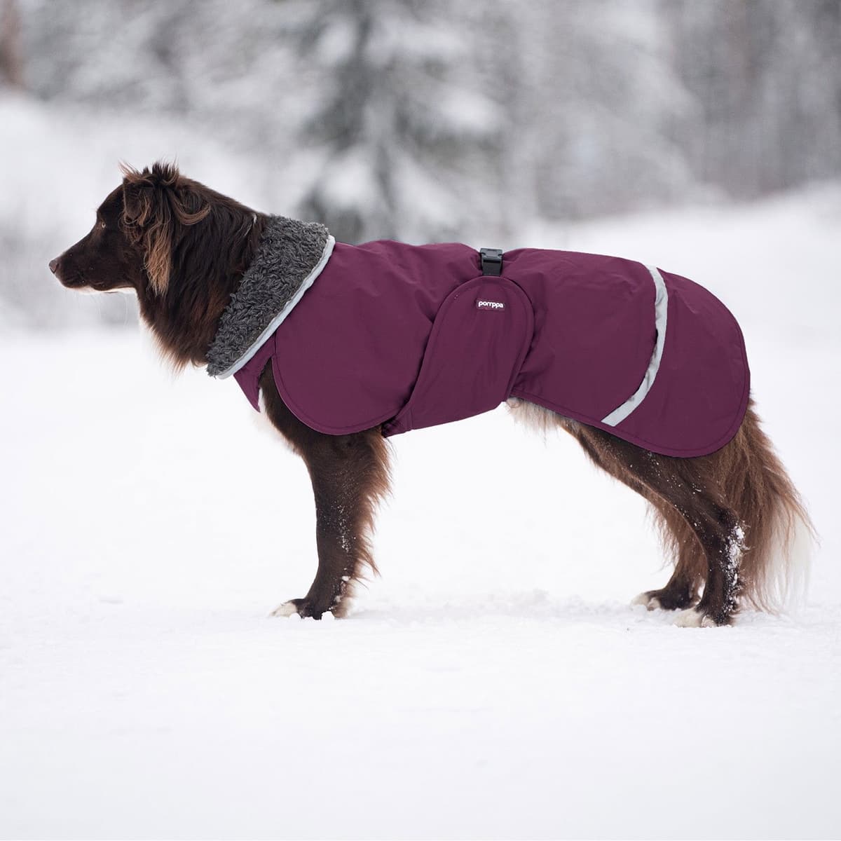 Pomppa Toppa Vinterdekken Hund Plum