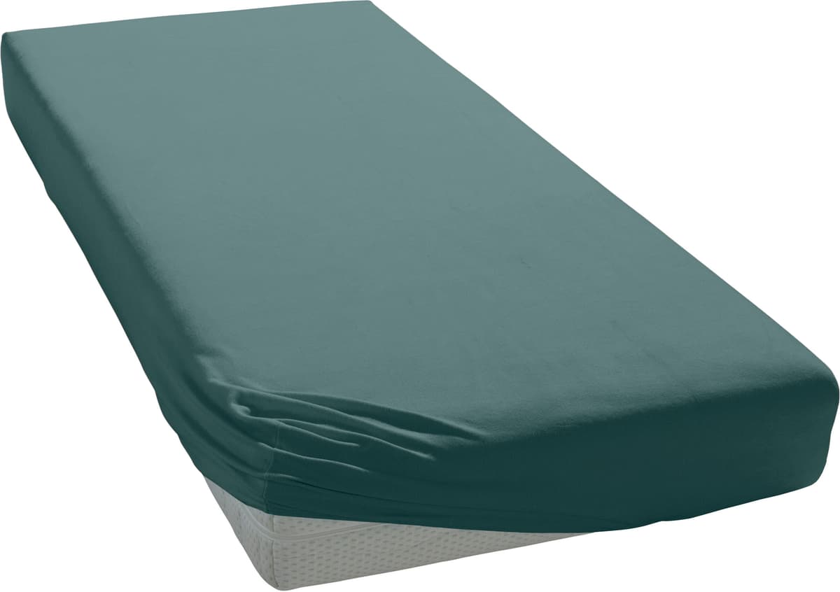 Spannbettlaken GOODPRODUCT "Physalis Basic und PREMIUM Qualität, 100% Baumwolle, Jersey und Biber", grün (jade), B:200cm L:200cm, Jersey (160 g/m²), Obermaterial: 100% Baumwolle, Bettlaken, Spannbettlaken, Bettlaken für Matratzen bis 18 cm Höhe, Spannbett