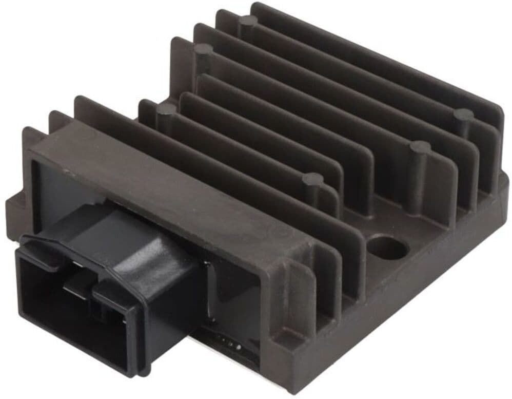 Regulador de tensão TOURMAX RGU-196